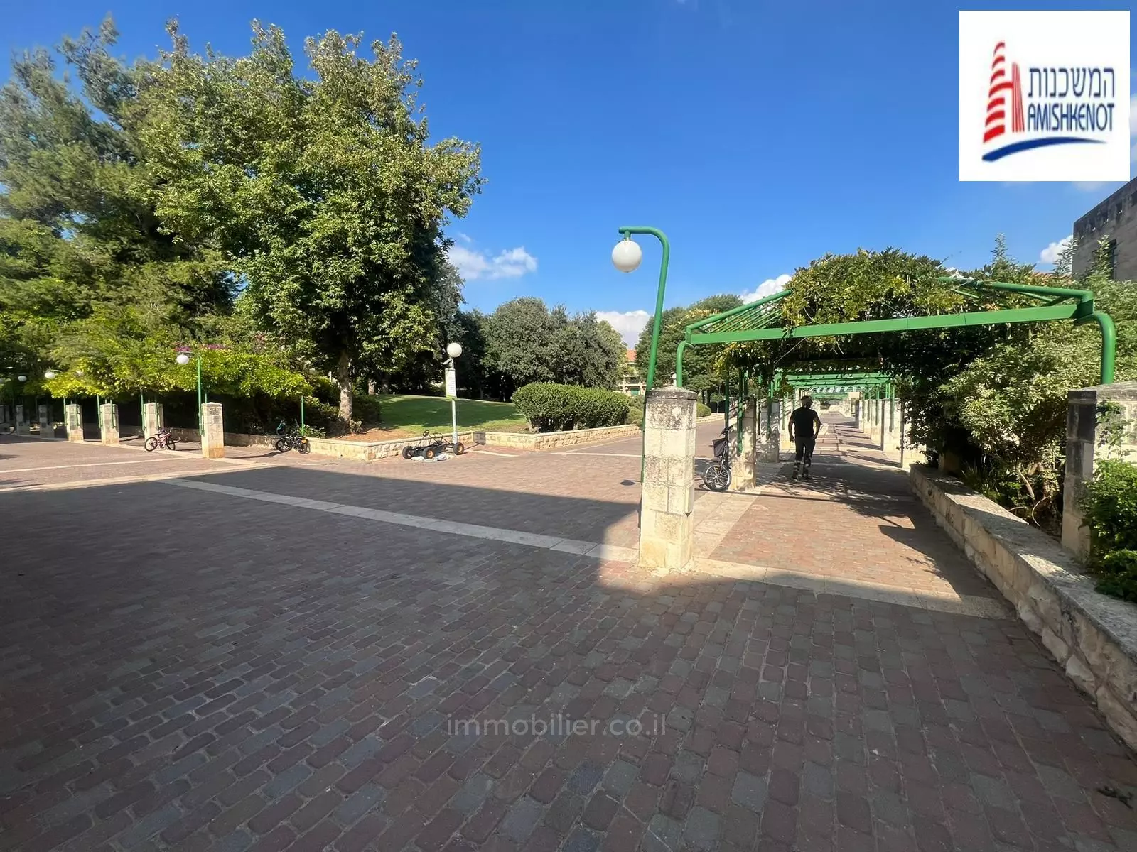 גינה גדולה