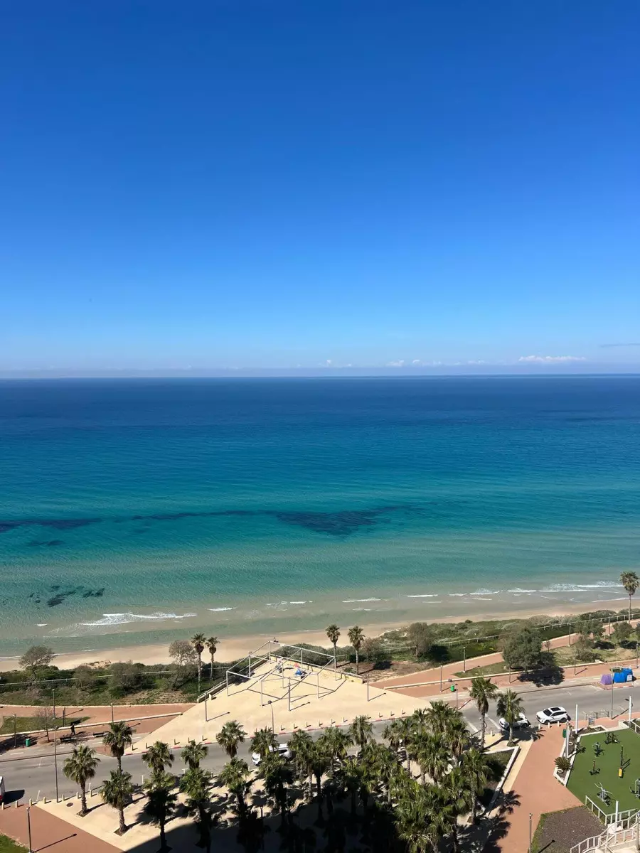סי אופרה