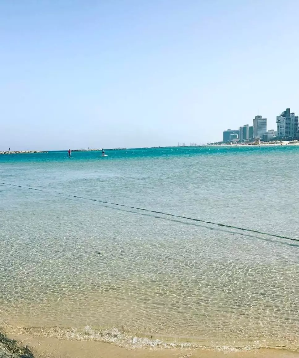 במרכז,קרוב לים,פרוייקט איכותי
