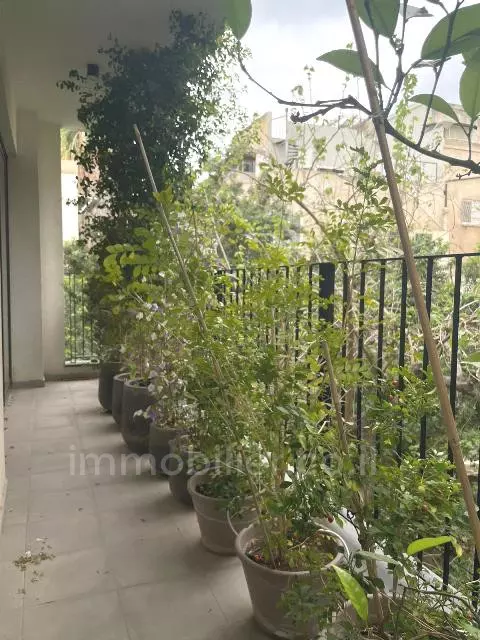 לא להחמיץ!,במרכז,עם מרפסת,מסודרת,מיקום מצויין,בבניין יוקרה